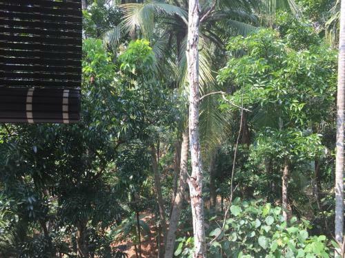 Hotel Ayur Villa
