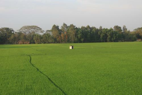 Baganbari Homestay