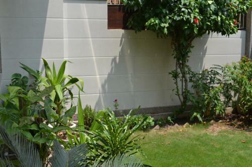 Bed & Breakfast Villa Green