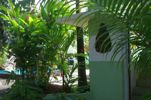 Hotel La Dolce Vita