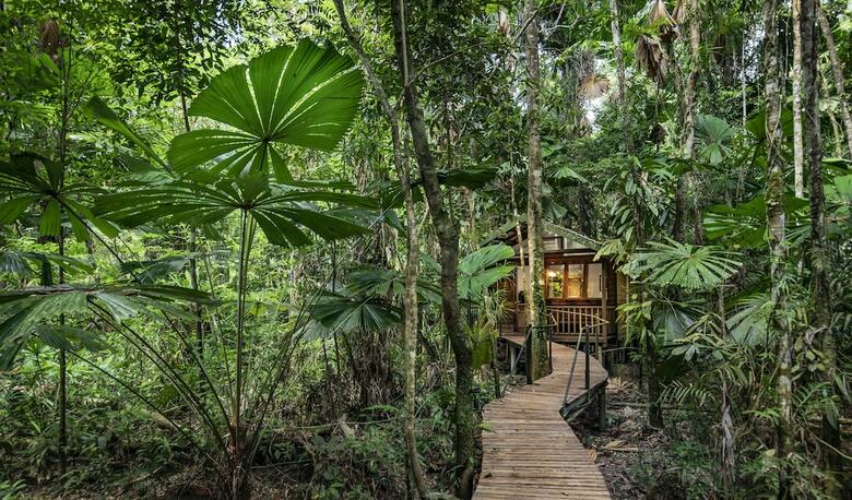 Hotel Daintree Wilderness Lodge