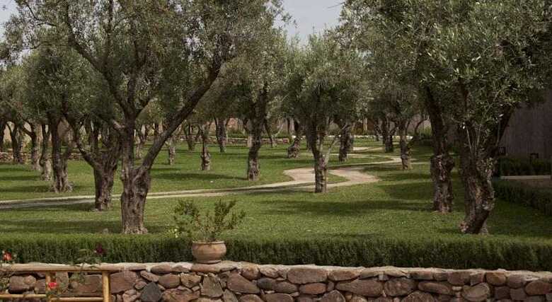 Bed & Breakfast Le Palais Paysan