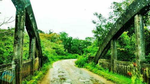 Gowdahalli Forest - Sakleshpur