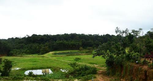 Gowdahalli Forest - Sakleshpur