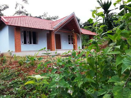 Gowdahalli Forest - Sakleshpur
