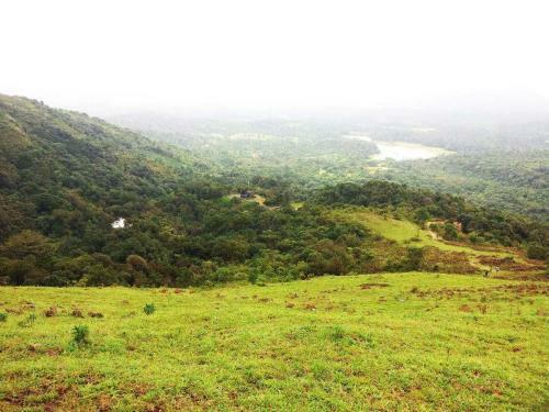 Gowdahalli Forest - Sakleshpur