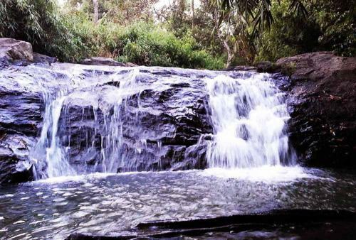 Gowdahalli Forest - Sakleshpur