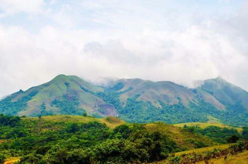Gowdahalli Forest - Sakleshpur