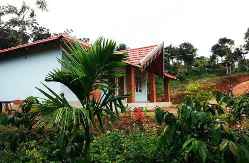 Gowdahalli Forest - Sakleshpur