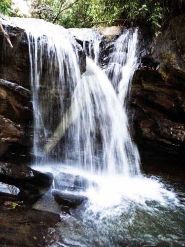 Gowdahalli Forest - Sakleshpur