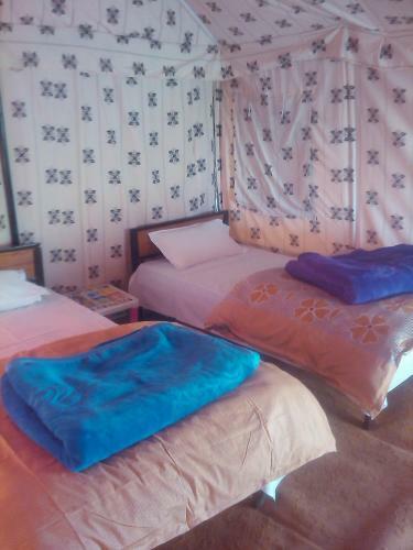 Himalayan Routes Camp Sarchu