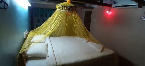 Hostal Paddy Homestay