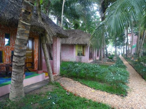 Hostal Paddy Homestay