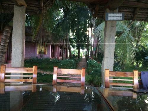 Hostal Paddy Homestay