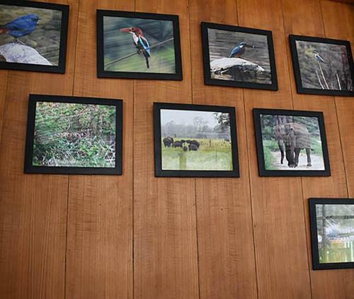 The Wild Heritage Resort