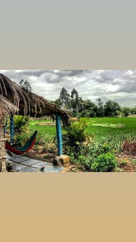Hostal Rambo Guest House