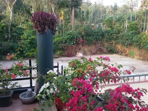 Kuttana Coffee Estate Homestay