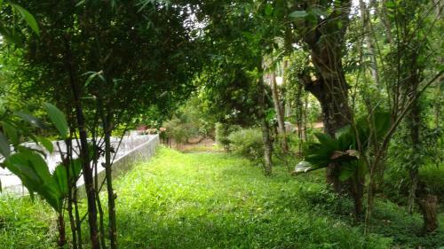 Agroturismo Philip Mary Farm Stay