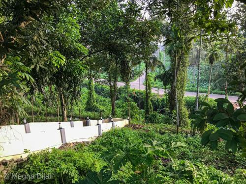 Kerala Heritage Villa