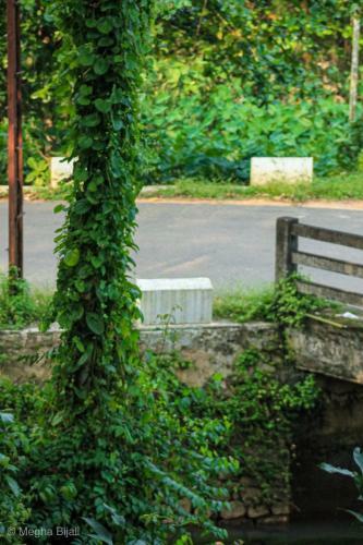 Kerala Heritage Villa