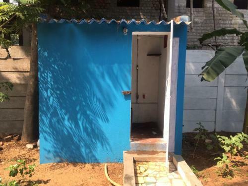 The Blue House