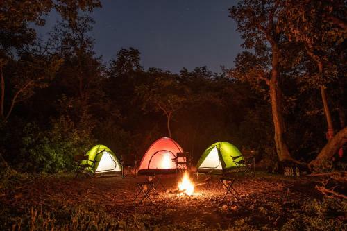 Ranakpur Adventures