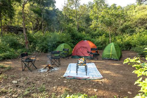 Ranakpur Adventures