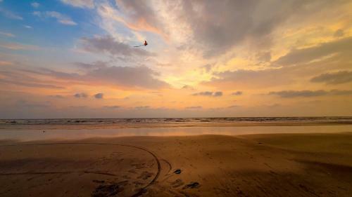 Hotel Lotus A Eco Beach Resort Dapoli Murud