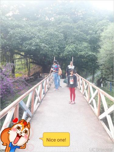 Rohini Homestay