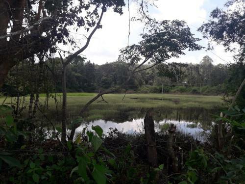 Dubare Valley View Homestay