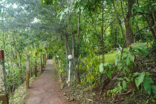 Hotel Dabhosa Waterfall Resort, A Nature Trails Resort