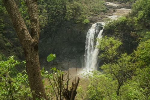 Hotel Dabhosa Waterfall Resort, A Nature Trails Resort