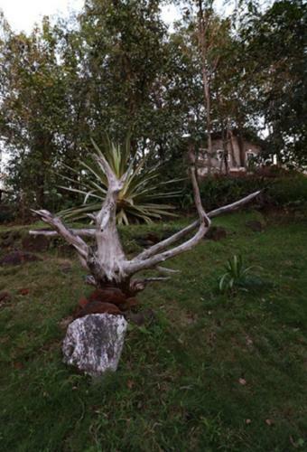 Hotel Dabhosa Waterfall Resort, A Nature Trails Resort