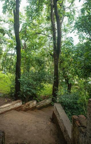 Hotel Dabhosa Waterfall Resort, A Nature Trails Resort