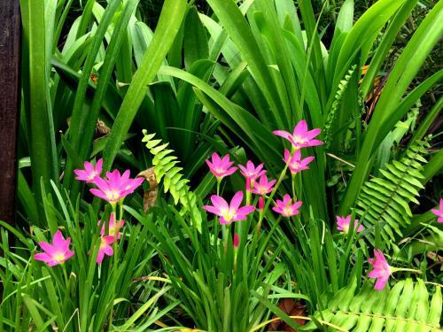 Hotel Villa Highnest - Oragadam -sriperumbudur