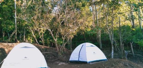 Bed & Breakfast Munnar Jungle Camp