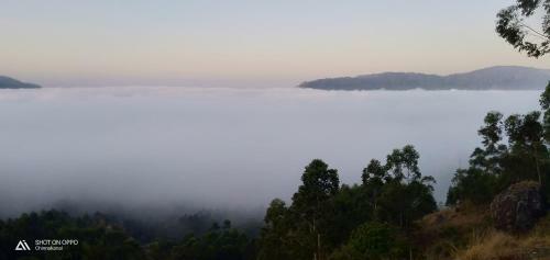 Bed & Breakfast Munnar Jungle Camp