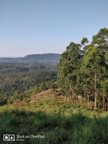 Bed & Breakfast Munnar Jungle Camp
