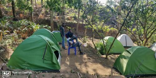 Bed & Breakfast Munnar Jungle Camp
