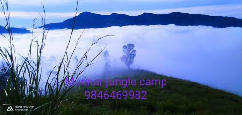 Bed & Breakfast Munnar Jungle Camp