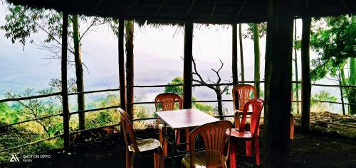 Bed & Breakfast Munnar Jungle Camp