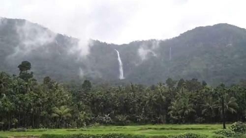 Jadkal Estate And Homestay