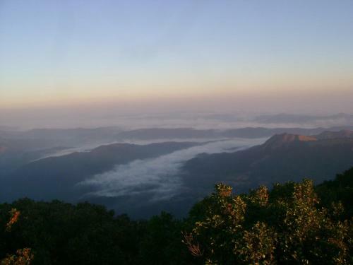 Jadkal Estate And Homestay