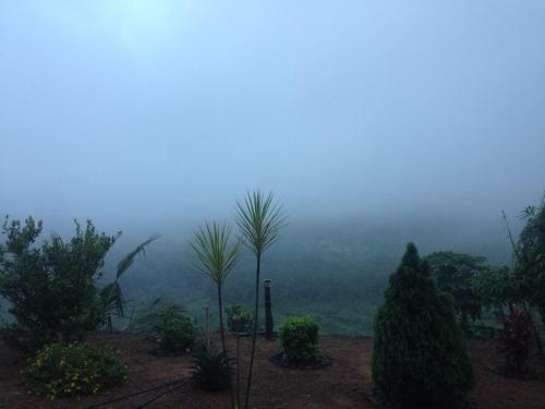 Jadkal Estate And Homestay