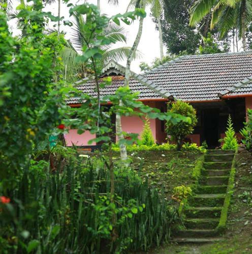 Coffee Island Stay