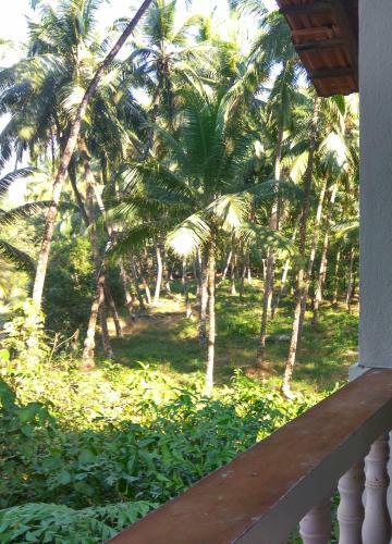 Hostal Peace Haven