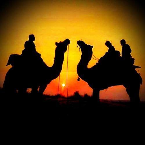 Hostal Jigar Camel Safari And Villega Home Stay