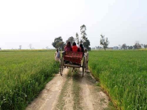 Agroturismo Punjabiyat Near Amritsar