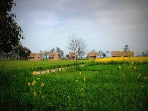 Agroturismo Punjabiyat Near Amritsar