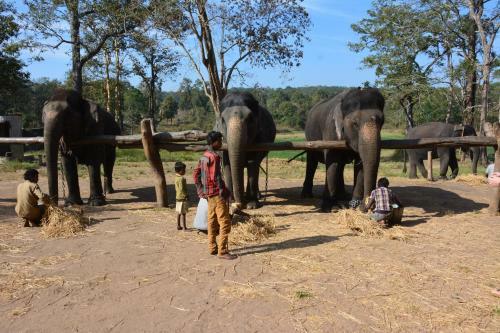 Hotel Red Earth Kabini